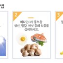 비타민 이미지