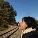 모네의 여름 | 모네의 여름 103호 아르장퇴유 | 부산 송정 감성 숙소 | 내 돈 내산 후기
