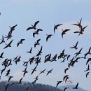 경안천누리길 이미지