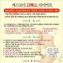 금충초 Daum카페