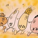 보리분식 이미지