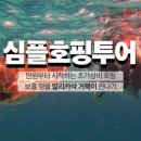 비바보홀 네이버블로그