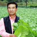 괴산시골절임배추영농조합법인 이미지