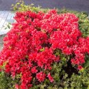 소구월사거리 이미지