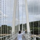 출렁다리(5) | 논산 탑정호 출렁다리 후기 입장료 주차 무료 낮에도 풍경이 예쁜 논산 가볼만한곳