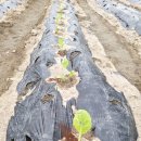 이형재농장 이미지