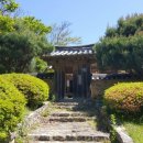 죽장면 참느리 이미지