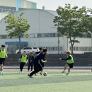 체육 이미지