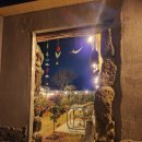 니도내도 이미지