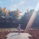 피어나봄 | 파주 벽초지수목원 봄 꽃 여행 후기 – 서울 근교 꽃 산책 명소