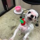 박달박가네숯불껍데기 건대점 이미지