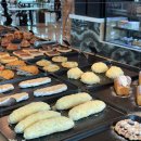 카페오수 이미지