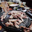 국가대표생고기 이미지