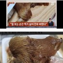 보배족발 이미지