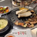 불막열삼 괴정점 이미지