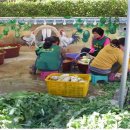 새동네부녀경로당 이미지