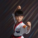 상록키즈태권도 이미지