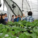 순이하우스 이미지