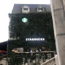 메인카 | 다낭 바나힐 입장권 가격 케이블카 후기