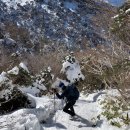 소터농장 | 20.02.04 한라산 백록담 심설 산행(관음사-백록담 왕복코스)-날씨가 너무 좋아 한라산정상에서 육지가...