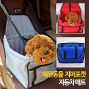 희망애견샵 이미지