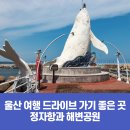 정자항 공원 이미지