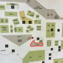 조기경보 | 잠실 롯데백화점 대전 빵빵크루 빵나들이 팝업 오픈런 후기! 내돈내산 (누룽지 소금빵, 손수베이커리 등)