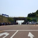 의령-의령-의령-D-6 이미지