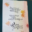 캘리스테이 이미지