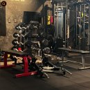 바디팩토리 이미지