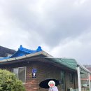 이달엔영월 스테이 이미지