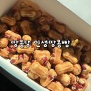 45 | 진주 카페 추천 | 땅콩당 인생땅콩빵 45개세트 솔직후기