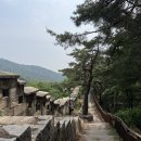 로리엣