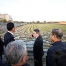 태리태양광 이미지