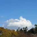 갈매기먹짱(대리) | [제주] 12월 제주도 여행 2일차 : 수두리보말칼국수/용머리해안/사계해안/크리스마스박물관/금오름/정직...