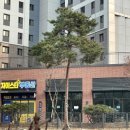 수지파크푸르지오공인중개사사무소 이미지