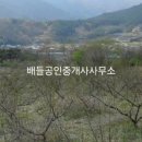 당동리공인중개사사무소 이미지