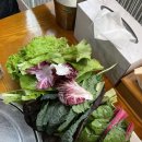 윤훈식농가쌈밥송정점 | 구미 맛집 : 윤훈식 농가쌈밥 송정점 쭈꾸미,소불고기 메뉴추천 채소 무한리필 가능