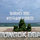 솔향기약국 | 강릉 연곡 솔향기캠핑장 2박 황홀했던 동해바다 캠핑
