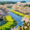 좋은카써비스 이미지