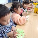 꽃무지어린이집 이미지