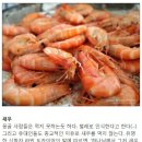 새우나라 이미지
