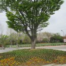 국가정원(동문) 이미지