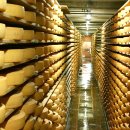 치즈마을 이미지