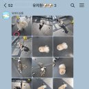 멍데이 살롱 이미지