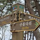 태조산 이미지