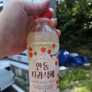 여행 3일차 일정. 안동의 도산서원 방문!