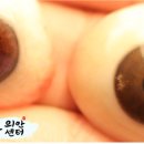 코리아의안센터 이미지