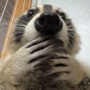 분더필라테스 | 너 내 학생이 되어라‼️ - 대구보건대 물리치료학과 면접 후기