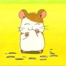 노모어(nomore)